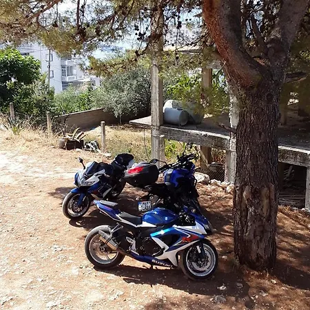 Vila Jakupi *